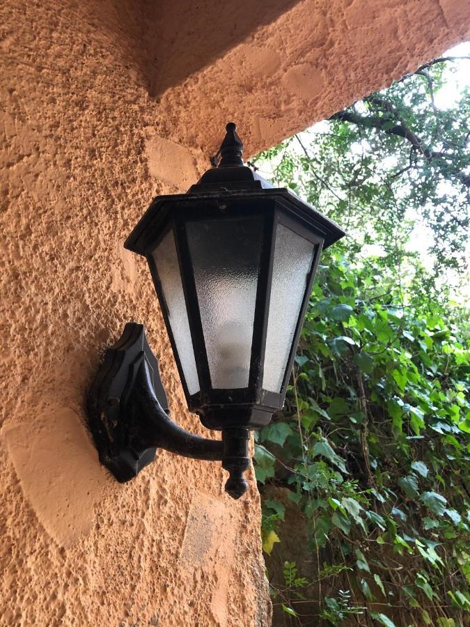 Hartmut Friedrich Apartment Puerto de Sóller Dış mekan fotoğraf
